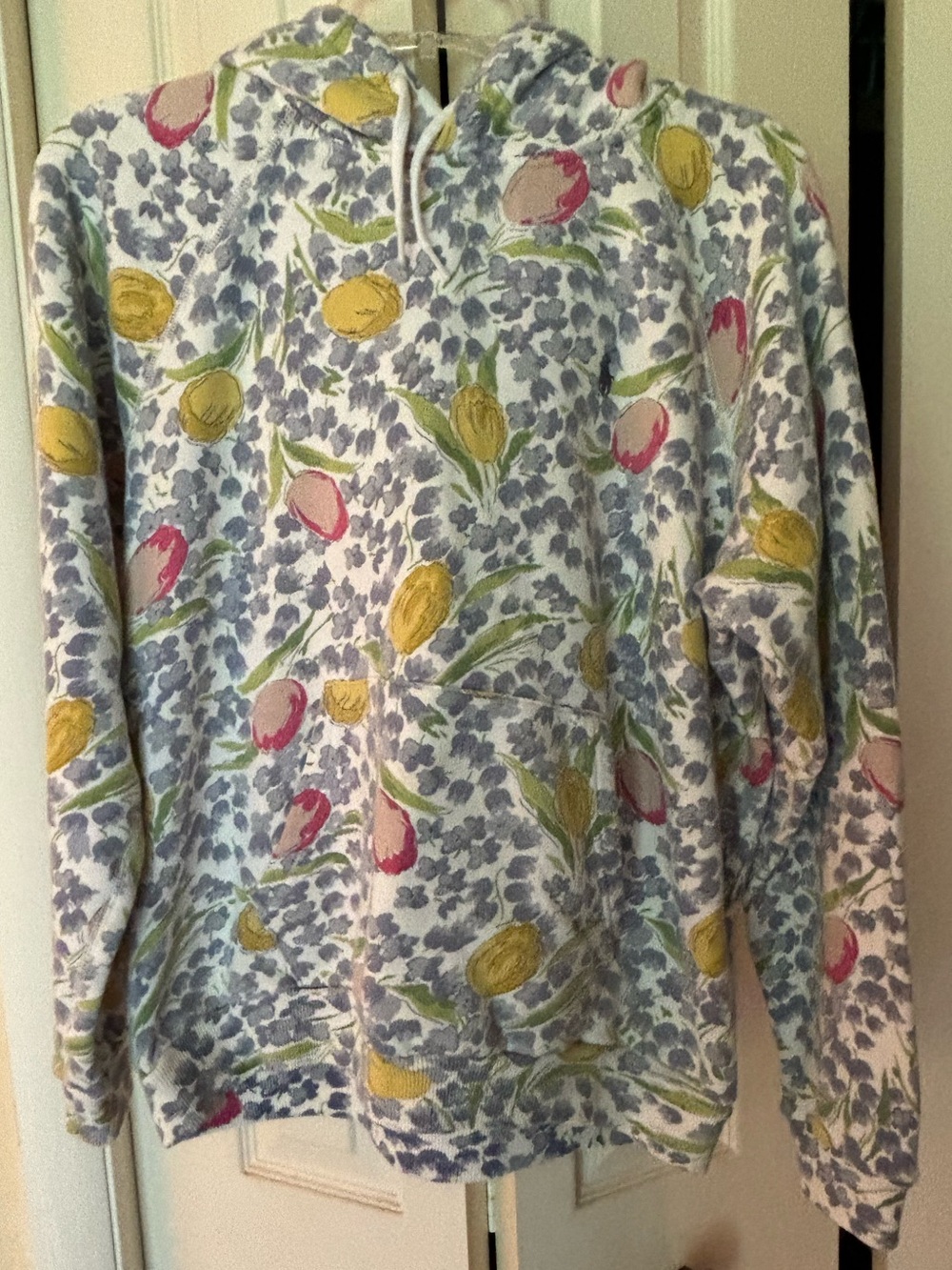 Euc polo Ralph Lauren hoodie, size large